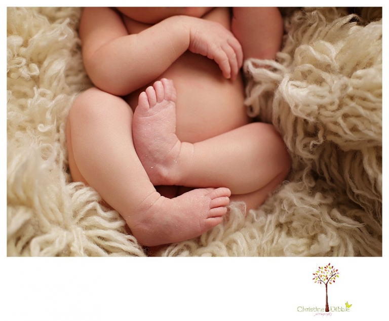 Best Sonora Newborn Photographer Christine Dibble Photography takes portraits of a sleeping newborn on blankets, in wraps and props, and on her mother's wedding dress.