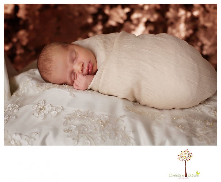 Best Sonora Newborn Photographer Christine Dibble Photography takes portraits of a sleeping newborn on blankets, in wraps and props, and on her mother's wedding dress.