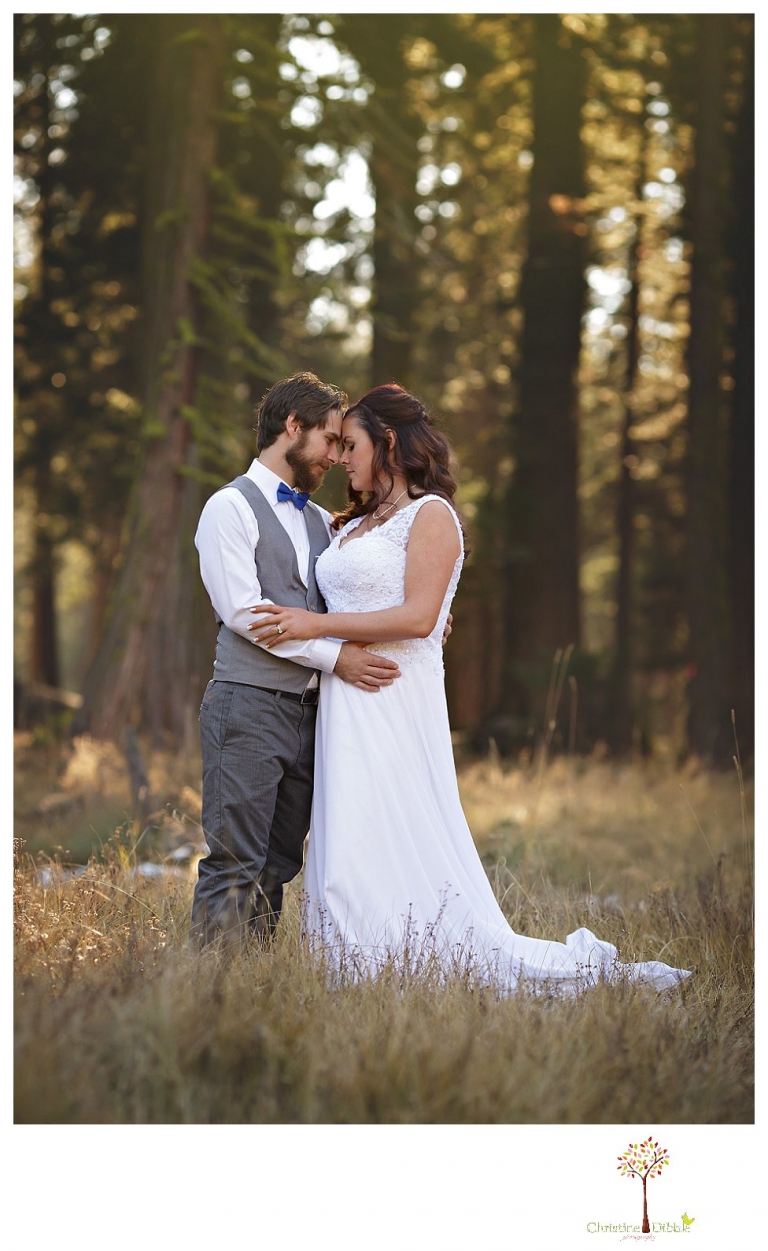 Sonora and Pinecrest wedding photographer Christine Dibble Photography takes wedding photos at a Pinecrest elopement including the couple on the edge of the woods.