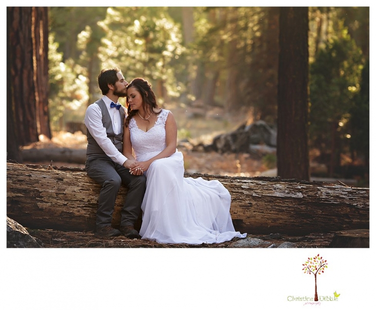 Sonora and Pinecrest wedding photographer Christine Dibble Photography takes wedding photos at a Pinecrest elopement of a couple sitting on a fallen tree in the woods.