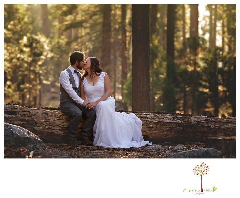 Sonora and Pinecrest wedding photographer Christine Dibble Photography takes wedding photos at a Pinecrest elopement.