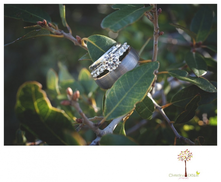 Sonora and Pinecrest wedding photographer Christine Dibble Photography takes wedding photos at a Pinecrest elopement including the wedding rings.