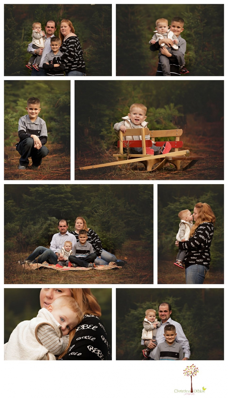 Twain Harte Tree Farm and Sonora Family Photographer, Christine Dibble Photography, takes family and child portraits in beautiful light among the Christmas trees in the fields during the Twain Harte Tree Farm mini sessions in December.