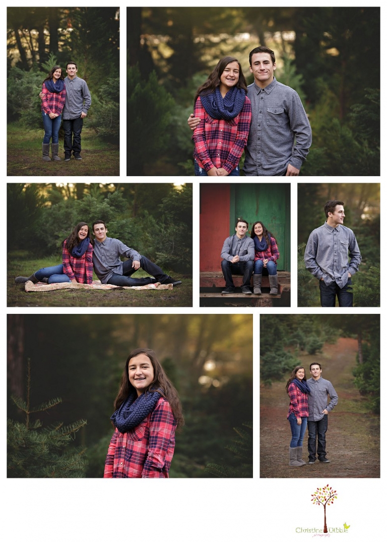 Twain Harte Tree Farm and Sonora Family Photographer, Christine Dibble Photography, takes family and child portraits in beautiful light among the Christmas trees in the fields during the Twain Harte Tree Farm mini sessions in December.