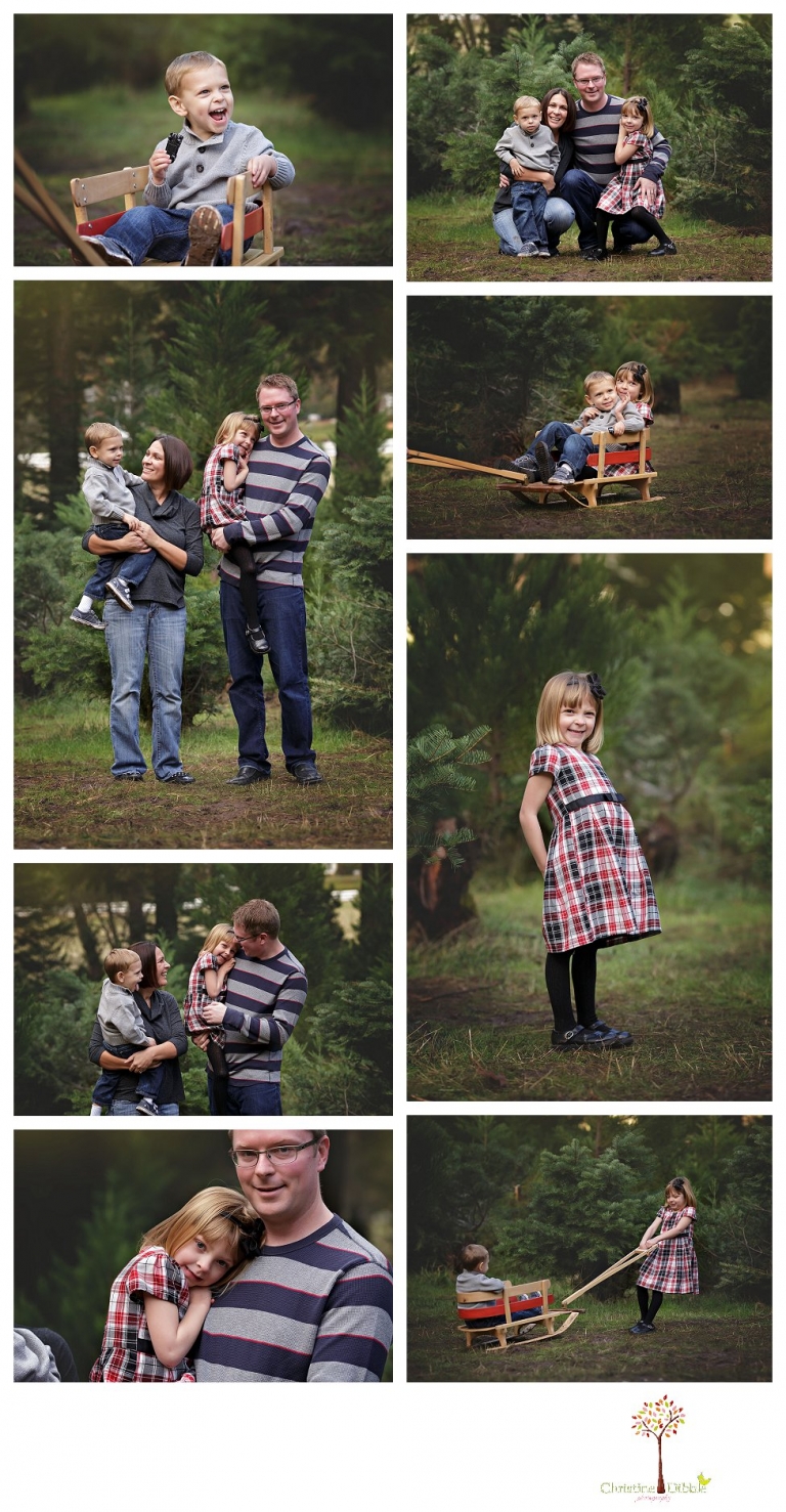 Twain Harte Tree Farm and Sonora Family Photographer, Christine Dibble Photography, takes family and child portraits in beautiful light among the Christmas trees in the fields during the Twain Harte Tree Farm mini sessions in December.