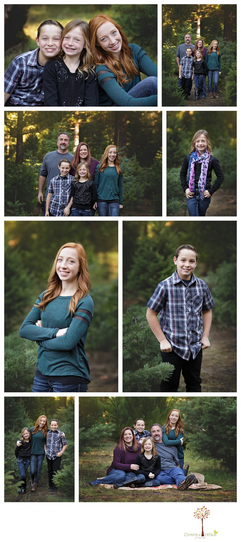 Twain Harte Tree Farm and Sonora Family Photographer, Christine Dibble Photography, takes family and child portraits in beautiful light among the Christmas trees in the fields during the Twain Harte Tree Farm mini sessions in December.