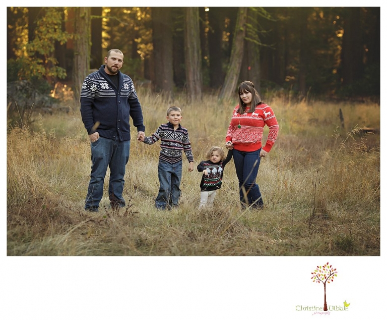 Sonora family photographer Christine Dibble Photography takes family portraits at Pinecrest Lake as the family plays in a field and then wears ugly sweaters for Christmas card photos.