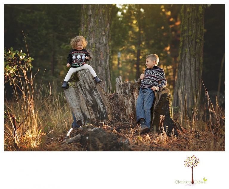 Sonora family photographer Christine Dibble Photography takes family portraits at Pinecrest Lake as the family plays in a field and then wears ugly sweaters for Christmas card photos.