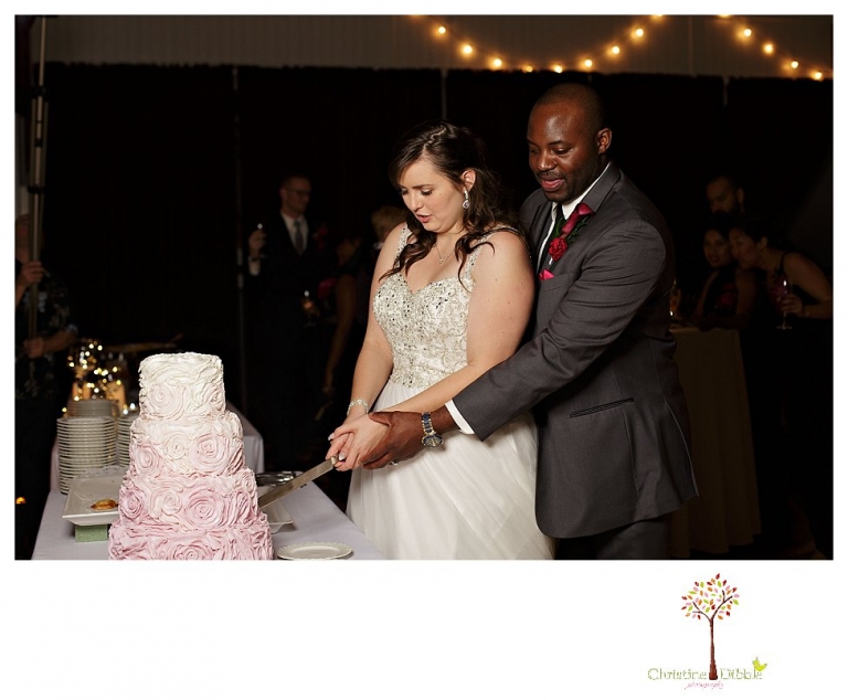 Sonora wedding photographer Christine Dibble Photography photographs a January wedding at the Sonora Opera Hall with bright colors and Nigerian traditions.