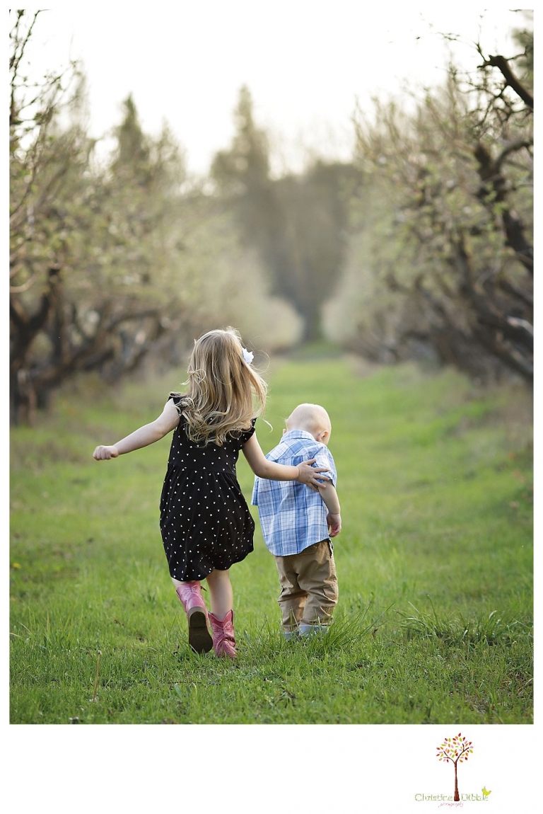 Sonora Child Photographer Christine Dibble Photography takes outdoor spring portraits of two young siblings at Indigeny Reserve while they play and explore.
