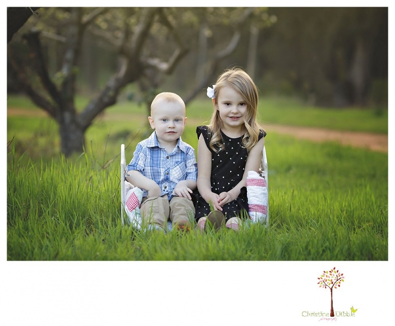 Sonora Child Photographer Christine Dibble Photography takes outdoor spring portraits of two young siblings at Indigeny Reserve while they play and explore.