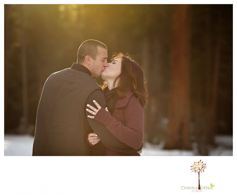 Sonora Engagement Photographer 6733.jpg