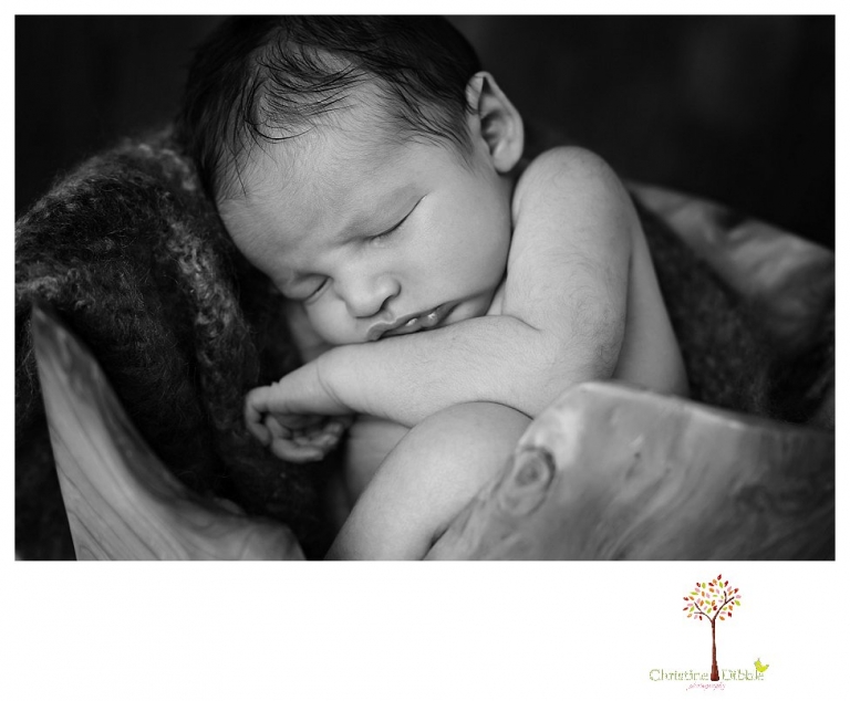 Sonora Newborn Photographer Christine Dibble Photography takes newborn portraits with a hunting camoflage theme including trophy antlers, a vintage wooden shot box and furs.