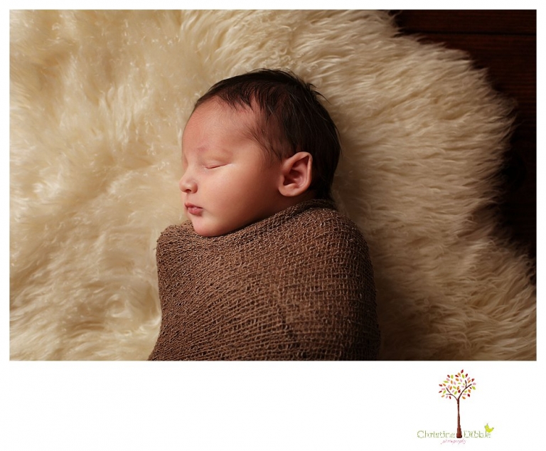 Sonora Newborn Photographer Christine Dibble Photography takes newborn portraits with a hunting camoflage theme including trophy antlers, a vintage wooden shot box and furs.