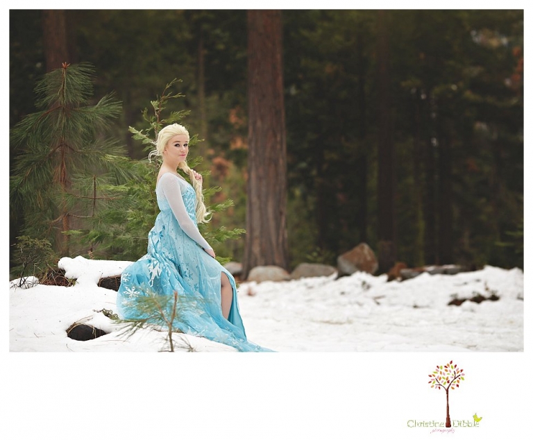 Sonora teen photographer Christine Dibble Photography takes snowy Elsa winter portraits to advertise for Fairytales and Friends.