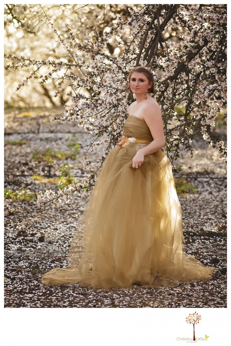Sonora Summerville Senior Portrait photographer Christine Dibble Photography takes portraits of a senior girl in a full tulle dress among the blossoming trees at Bloomingcamp Ranch in Oakdale.