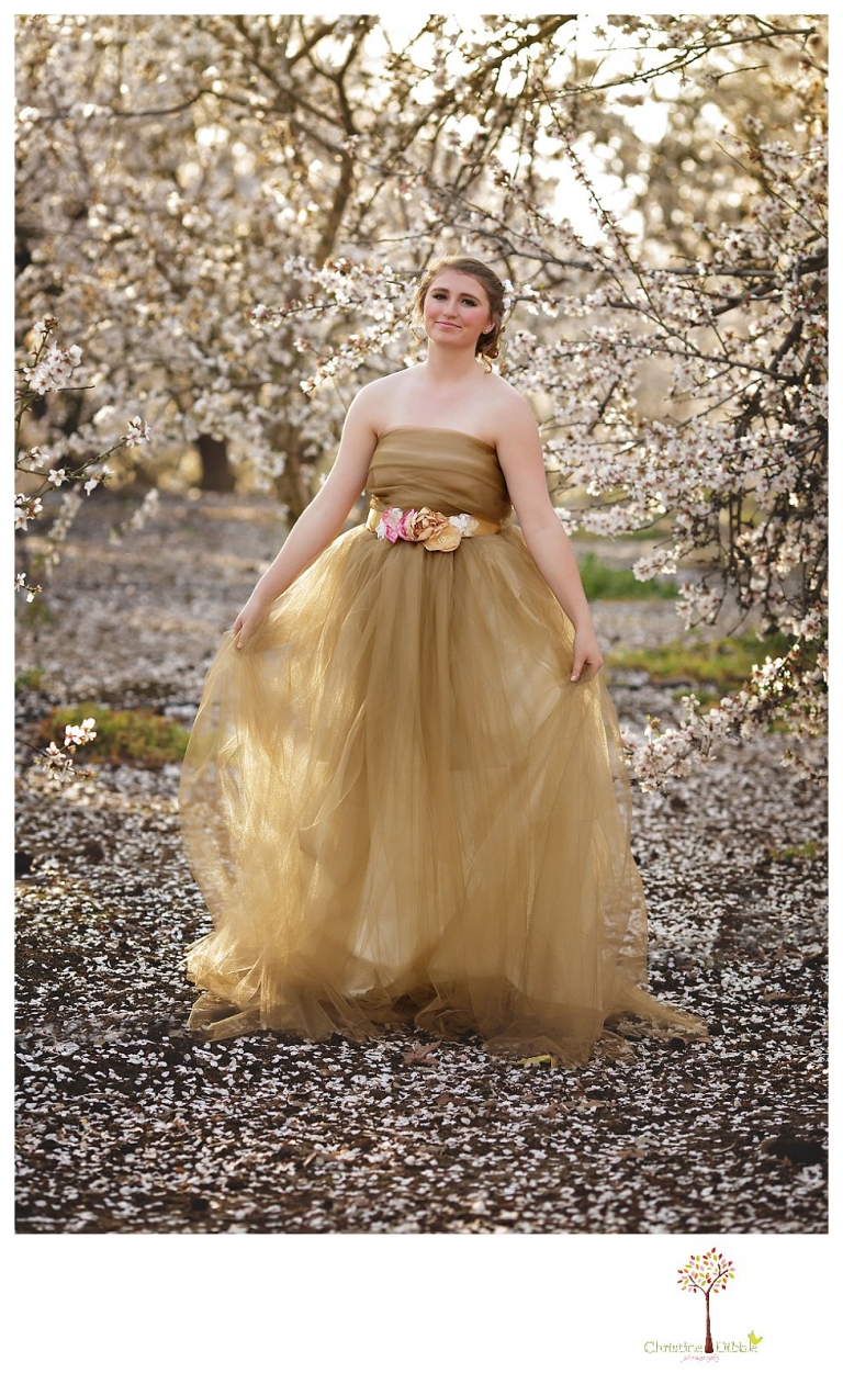 Sonora Summerville Senior Portrait photographer Christine Dibble Photography takes portraits of a senior girl in a full tulle dress among the blossoming trees at Bloomingcamp Ranch in Oakdale.