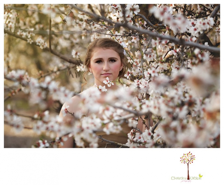 Sonora Summerville Senior Portrait photographer Christine Dibble Photography takes portraits of a senior girl in a full tulle dress among the blossoming trees at Bloomingcamp Ranch in Oakdale.