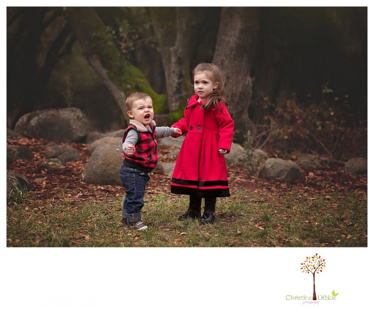 Sonora Family Photographer Christine Dibble Photography takes family portraits of an extended family as they gather to celebrate Christmas in Sonora near Indigeny Reserve.