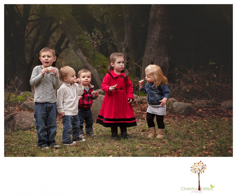 Sonora Family Photographer Christine Dibble Photography takes family portraits of an extended family as they gather to celebrate Christmas in Sonora near Indigeny Reserve.