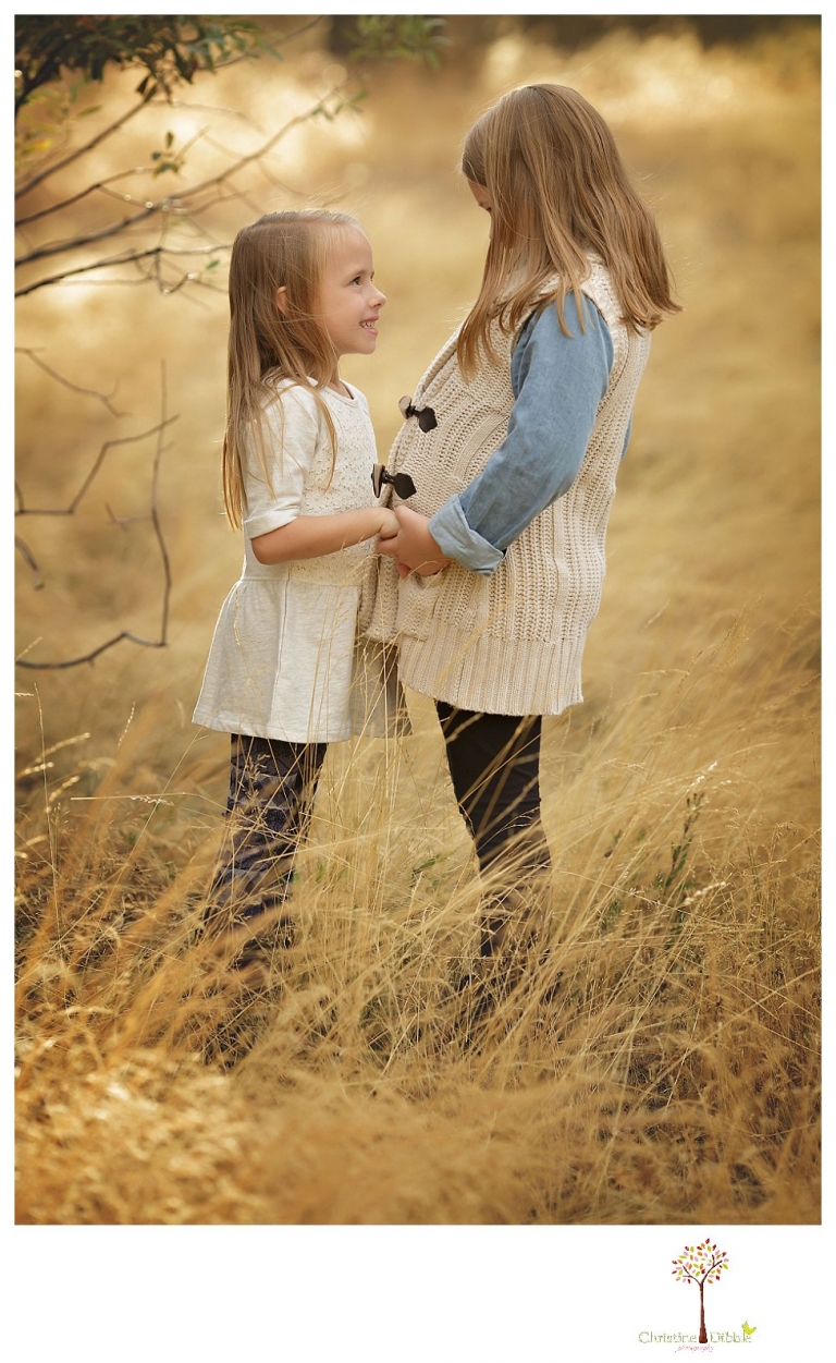 Sonora Family Photographer Christine Dibble Photography takes fall family portraits of a family with two little girls in both formal poses and while they hunt for ladybugs.