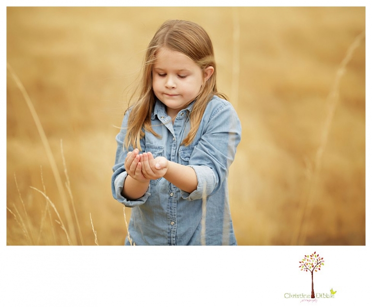 Sonora Family Photographer Christine Dibble Photography takes fall family portraits of a family with two little girls in both formal poses and while they hunt for ladybugs.