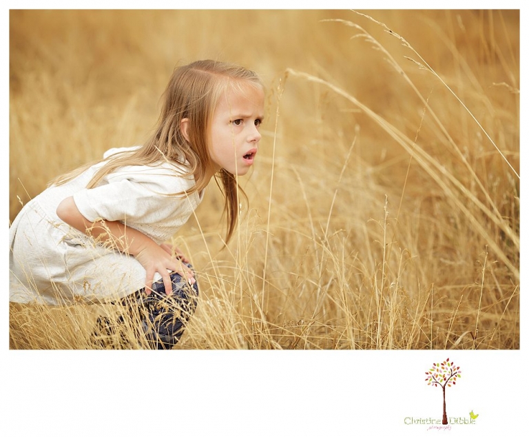 Sonora Family Photographer Christine Dibble Photography takes fall family portraits of a family with two little girls in both formal poses and while they hunt for ladybugs.