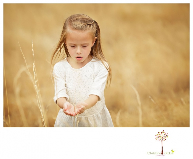 Sonora Family Photographer Christine Dibble Photography takes fall family portraits of a family with two little girls in both formal poses and while they hunt for ladybugs.