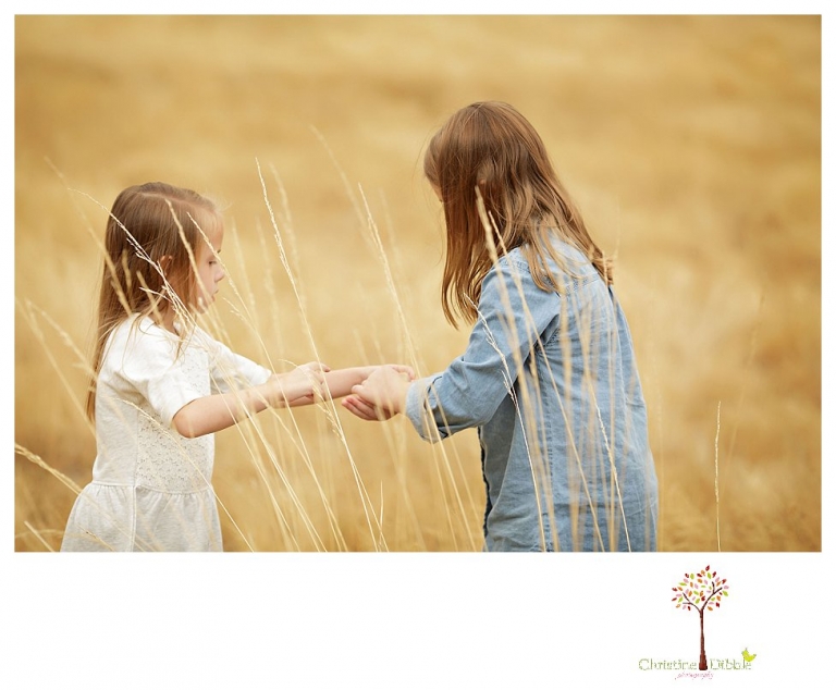 Sonora Family Photographer Christine Dibble Photography takes fall family portraits of a family with two little girls in both formal poses and while they hunt for ladybugs.