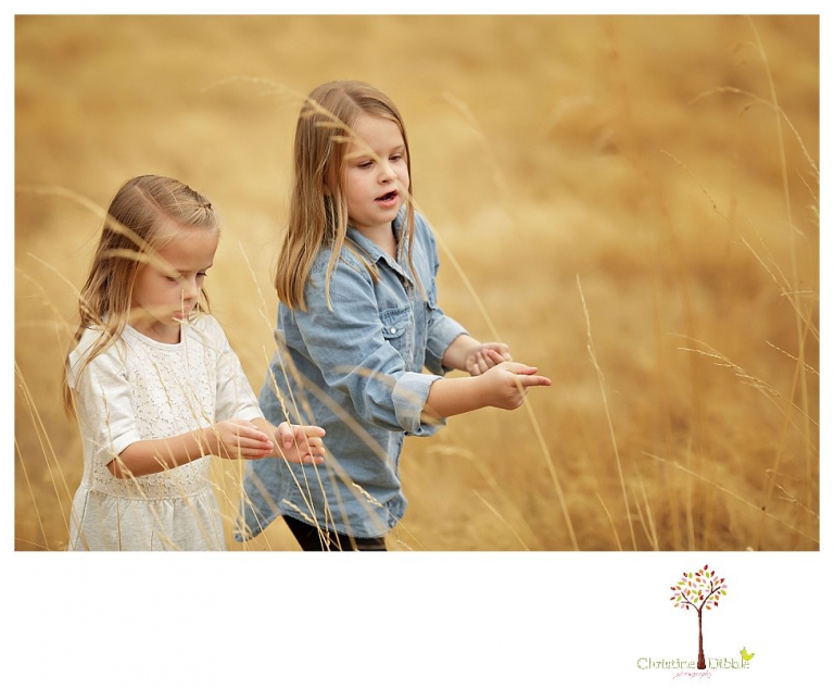 Sonora Family Photographer Christine Dibble Photography takes fall family portraits of a family with two little girls in both formal poses and while they hunt for ladybugs.