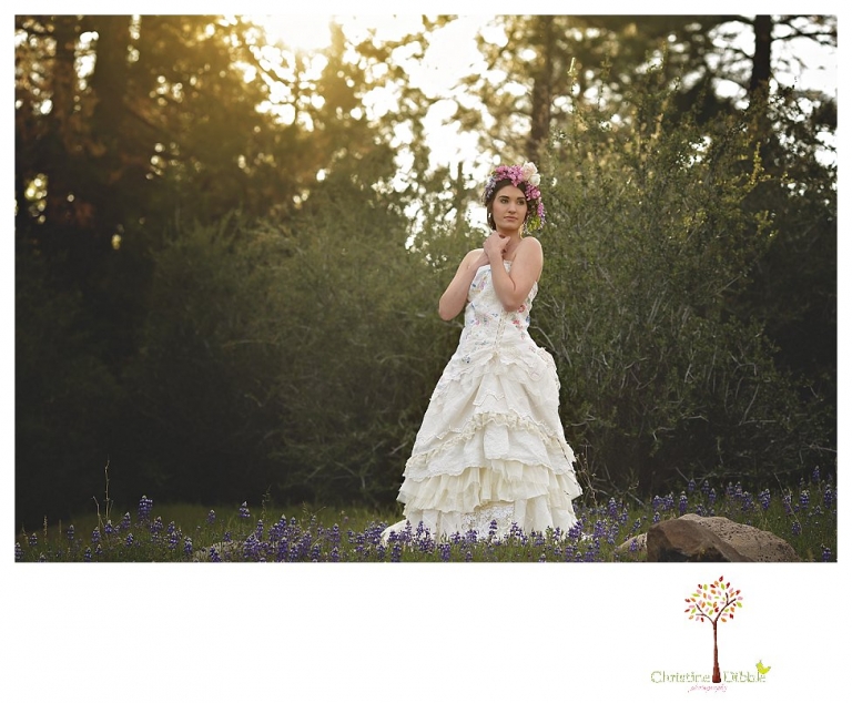 Sonora Wedding Photographer 8961.jpg