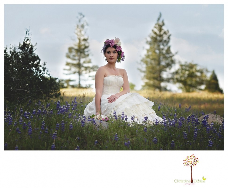 Sonora Wedding Photographer 9009.jpg