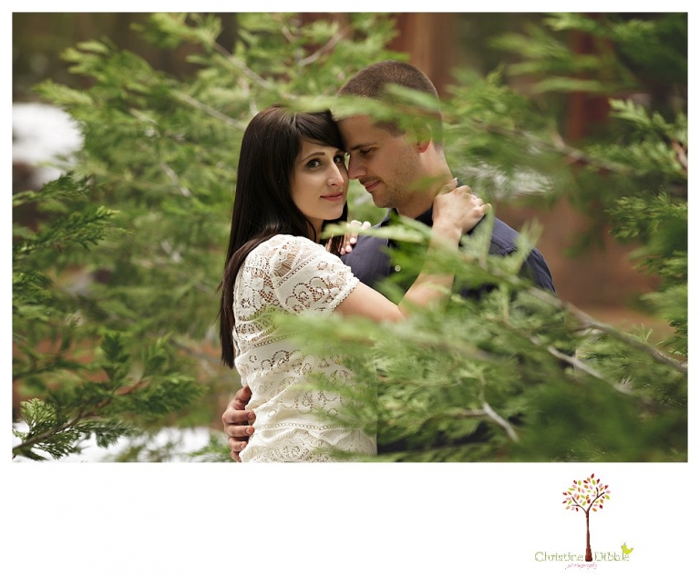 Sonora engagement and wedding photographer Christine Dibble Photography takes engagement photos of a couple in the woods at Pinecrest as they dance on a stump and walk through the trails. 