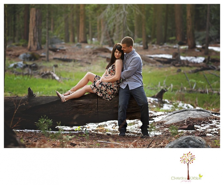 Sonora engagement and wedding photographer Christine Dibble Photography takes engagement photos of a couple in the woods at Pinecrest as they dance on a stump and walk through the trails. 
