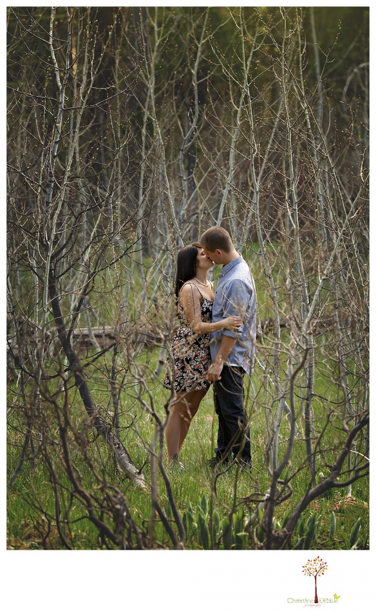 Sonora engagement and wedding photographer Christine Dibble Photography takes engagement photos of a couple in the woods at Pinecrest as they dance on a stump and walk through the trails. 