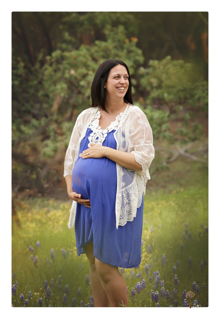 Sonora Maternity Photographer Christine Dibble Photography takes beautiful belly portraits of a mom-to-be pregnant with her fourth child in a blue dress and lace in a field of Lupine in Twain Harte.