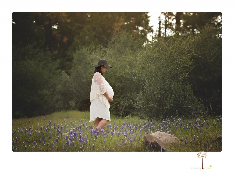 Sonora Maternity Photographer Christine Dibble Photography takes beautiful belly portraits of a mom-to-be pregnant with her fourth child in a white dress and floppy sunhat in a field of Lupine in Twain Harte.