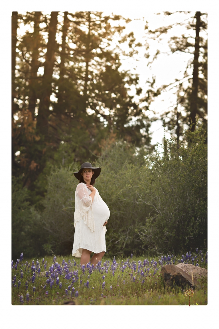 Sonora Maternity Photographer Christine Dibble Photography takes beautiful belly portraits of a mom-to-be pregnant with her fourth child in a white dress and floppy sunhat in a field of Lupine in Twain Harte.