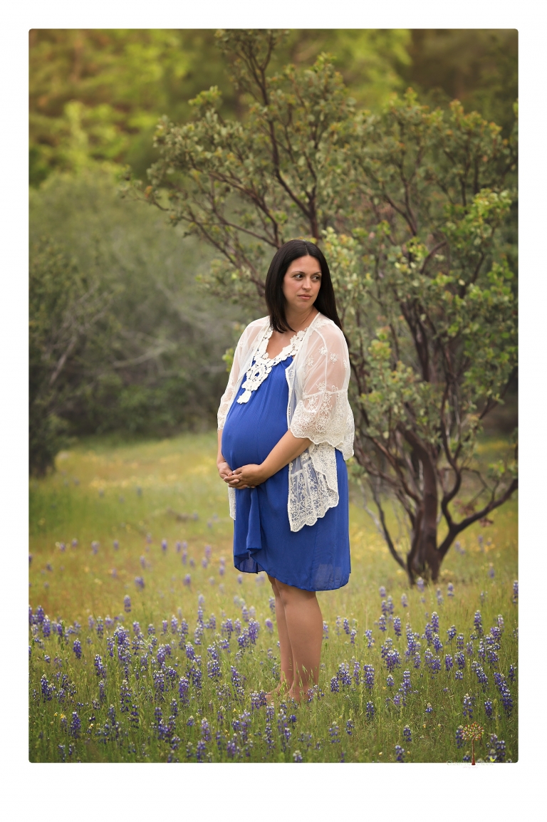 Sonora Maternity Photographer Christine Dibble Photography takes beautiful belly portraits of a mom-to-be pregnant with her fourth child in a blue dress and lace in a field of Lupine in Twain Harte.