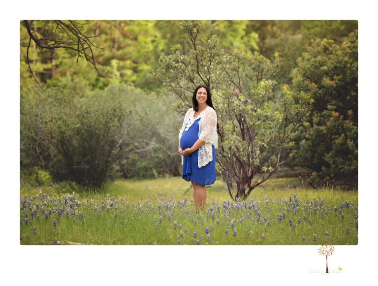 Sonora Maternity Photographer Christine Dibble Photography takes beautiful belly portraits of a mom-to-be pregnant with her fourth child in a blue dress and lace in a field of Lupine in Twain Harte.