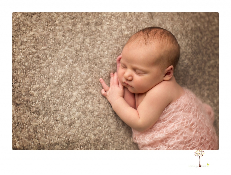 Best Sonora Newborn Photographer Christine Dibble Photography takes studio portraits of a baby sister with her parents and older sister and then posed newborn photos of baby alone.