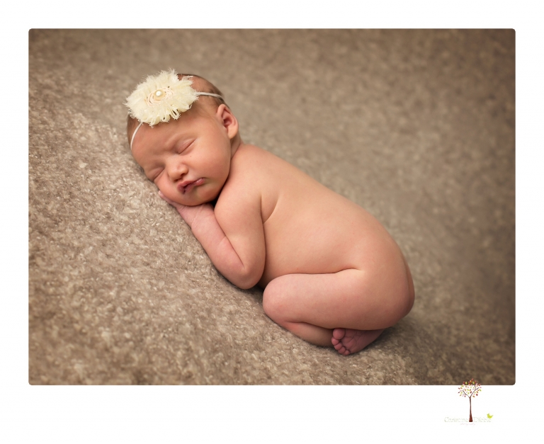 Best Sonora Newborn Photographer Christine Dibble Photography takes studio portraits of a baby sister with her parents and older sister and then posed newborn photos of baby alone.