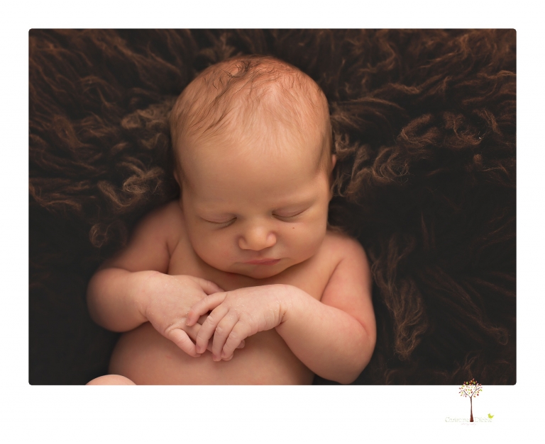 Best Sonora Newborn Photographer Christine Dibble Photography takes studio portraits of a baby sister with her parents and older sister and then posed newborn photos of baby alone.
