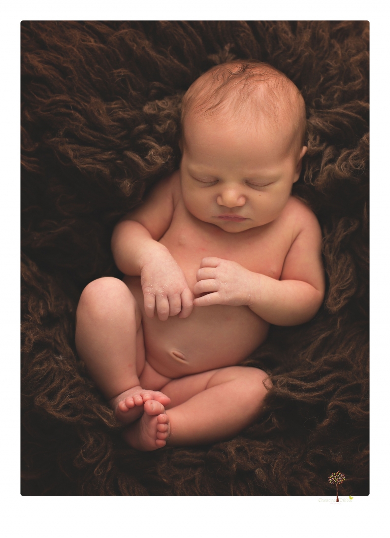 Best Sonora Newborn Photographer Christine Dibble Photography takes studio portraits of a baby sister with her parents and older sister and then posed newborn photos of baby alone.