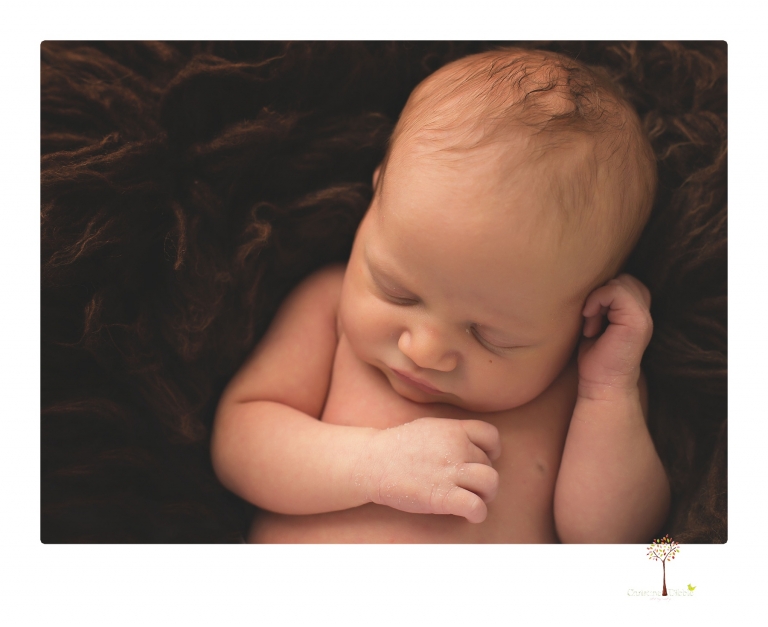 Best Sonora Newborn Photographer Christine Dibble Photography takes studio portraits of a baby sister with her parents and older sister and then posed newborn photos of baby alone.