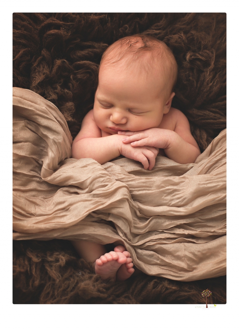 Best Sonora Newborn Photographer Christine Dibble Photography takes studio portraits of a baby sister with her parents and older sister and then posed newborn photos of baby alone.