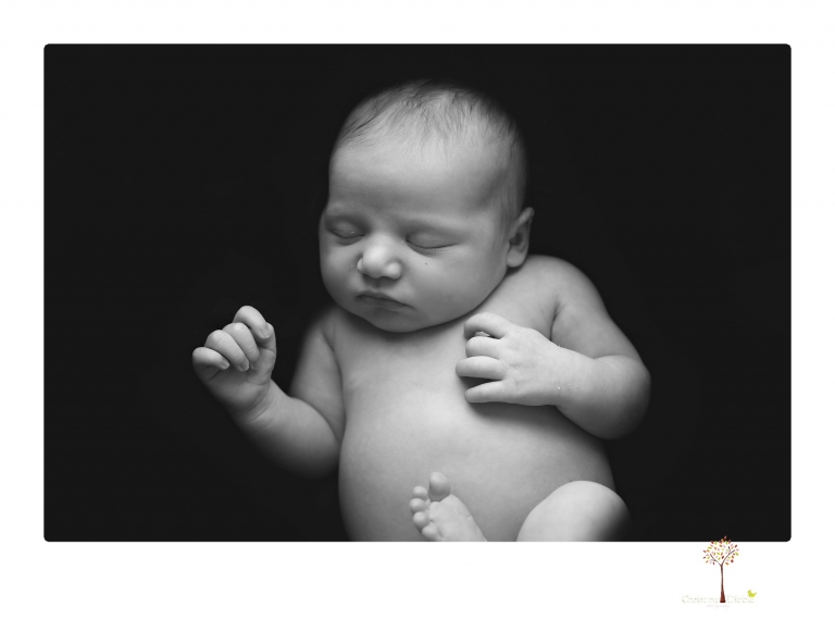 Best Sonora Newborn Photographer Christine Dibble Photography takes studio portraits of a baby sister with her parents and older sister and then posed newborn photos of baby alone.