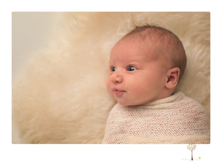 Best Sonora Newborn Photographer Christine Dibble Photography takes studio portraits of a baby sister with her parents and older sister and then posed newborn photos of baby alone.