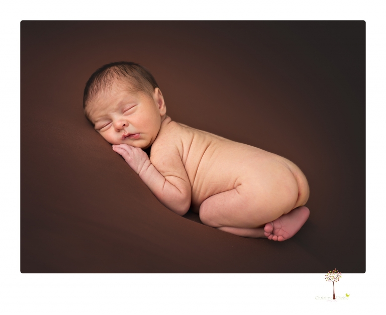 Best Sonora Newborn Photographer Christine Dibble Photography takes newborn portraits during a session in her studio using blankets, wraps, flokatis and props in browns and neutrals.