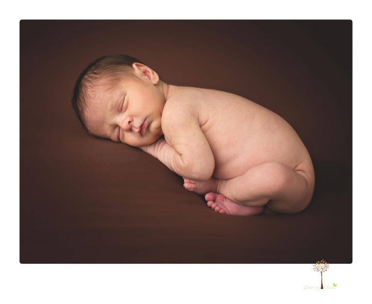 Best Sonora Newborn Photographer Christine Dibble Photography takes newborn portraits during a session in her studio using blankets, wraps, flokatis and props in browns and neutrals.